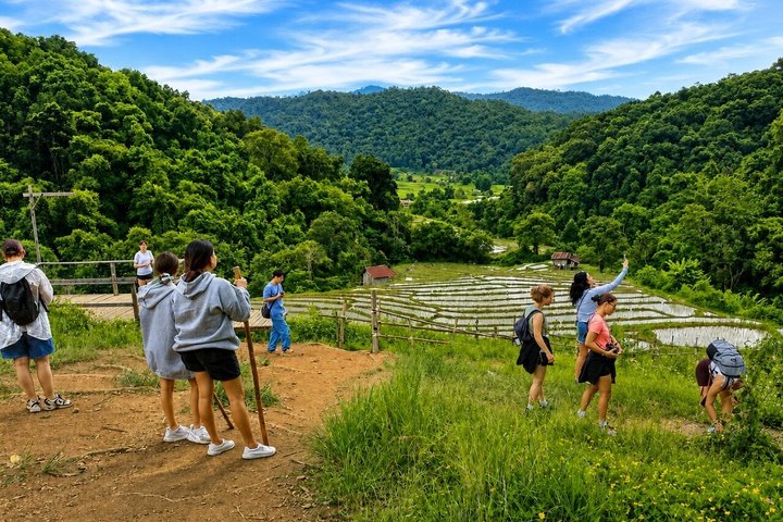 Oplev elefanter, Doi Inthanon og vandreture i Chiang Mai, Thailand, foto 9 | wizardtrip