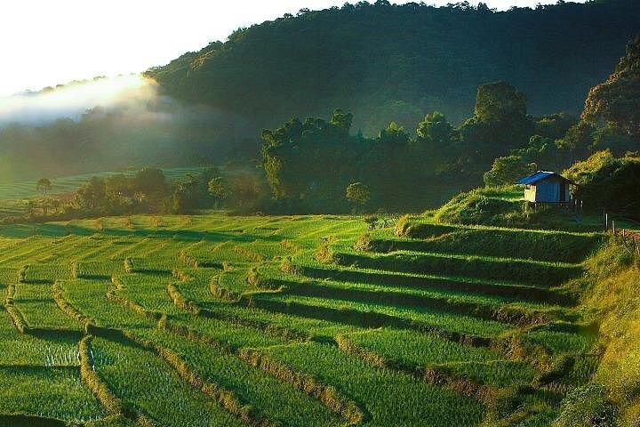 Oplev elefanter, Doi Inthanon og vandreture i Chiang Mai, Thailand, foto 11 | wizardtrip