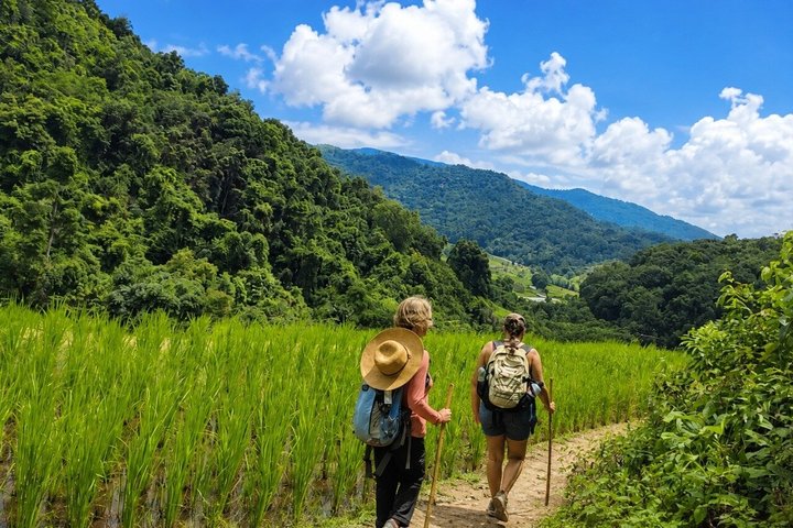 Oplev elefanter, Doi Inthanon og vandreture i Chiang Mai, Thailand, foto 12 | wizardtrip