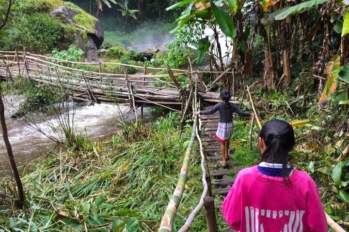 Oplev elefanter, Doi Inthanon og vandreture i Chiang Mai, Thailand, foto 16 | wizardtrip