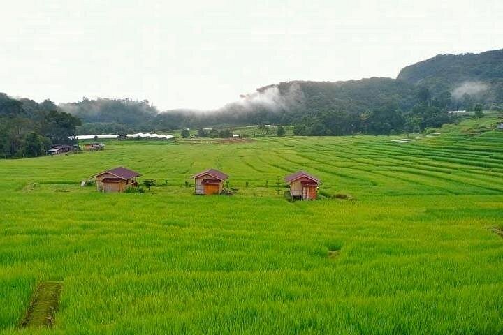 Oplev elefanter, Doi Inthanon og vandreture i Chiang Mai, Thailand, foto 18 | wizardtrip
