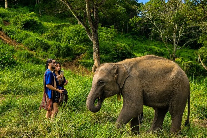 Oplev elefanter, Doi Inthanon og vandreture i Chiang Mai, Thailand, foto 19 | wizardtrip