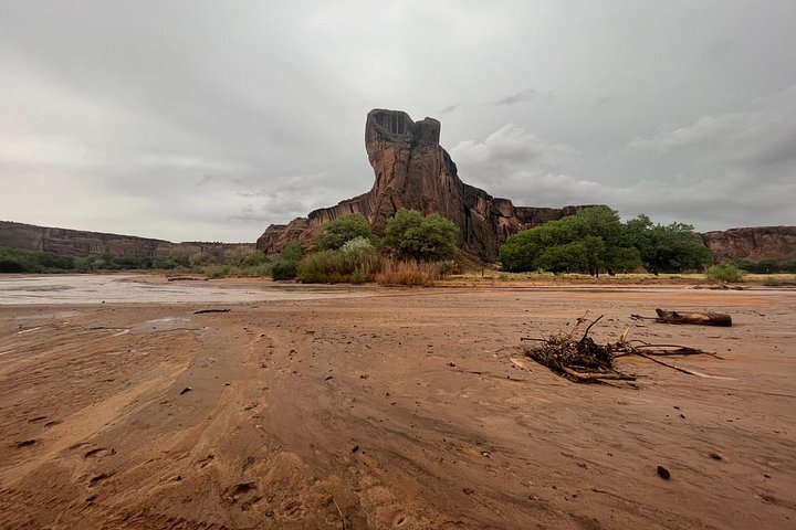 Tour privato in 4x4 attraverso il Canyon De Chelly con guida Navajo, esplorando siti antichi e cultura, foto 6 | wizardtrip