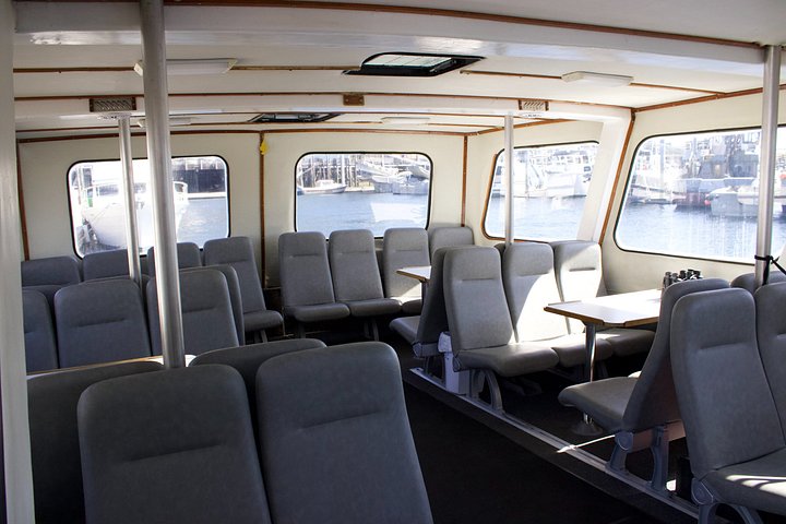 Båttur for dyreliv og hvalsafari i Ketchikan, Alaska, foto 12 | wizardtrip