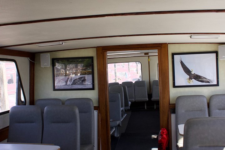 Båttur for dyreliv og hvalsafari i Ketchikan, Alaska, foto 15 | wizardtrip