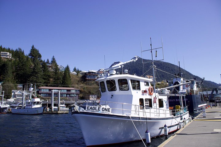 Båttur for dyreliv og hvalsafari i Ketchikan, Alaska, foto 17 | wizardtrip