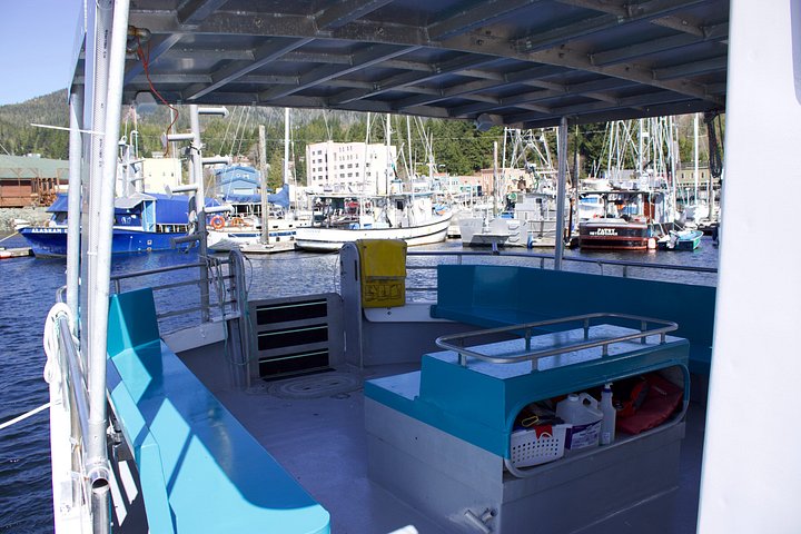 Båttur for dyreliv og hvalsafari i Ketchikan, Alaska, foto 18 | wizardtrip