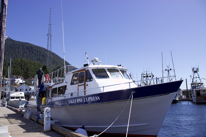 Båttur for dyreliv og hvalsafari i Ketchikan, Alaska, foto 21 | wizardtrip