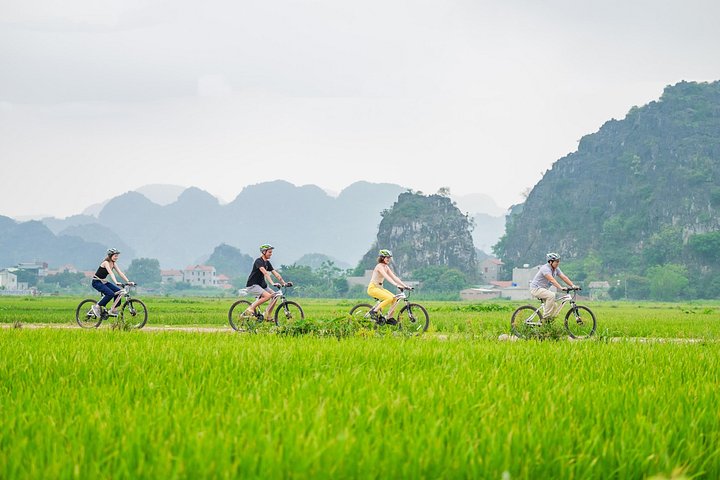 Tour di un'intera giornata da Hanoi a Ninh Binh, esplorando templi antichi, paesaggi carsici e valli panoramiche, foto 17 | wizardtrip