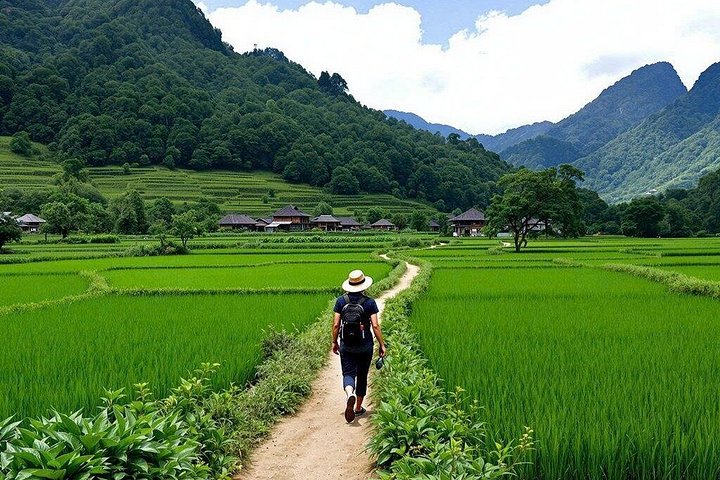 Tour di un'intera giornata da Hanoi a Ninh Binh, esplorando templi antichi, paesaggi carsici e valli panoramiche, foto 29 | wizardtrip