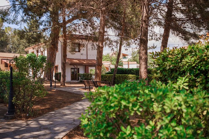 Malerische Tour durch die Troodos-Berge und traditionelle Dörfer auf Zypern ab Paphos, Foto 33 | wizardtrip