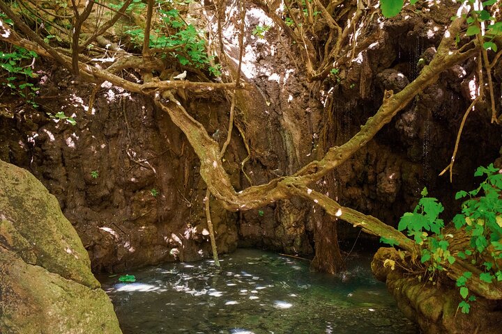 Dagstur fra Paphos til Den Blå Lagune og Aphrodites Bade, Cypern, foto 19 | wizardtrip