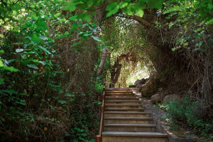 Dagstur fra Paphos til Den Blå Lagune og Aphrodites Bade, Cypern, foto 20 | wizardtrip