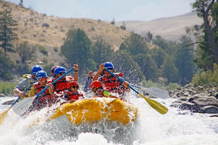 Familievenligt whitewater rafting eventyr på Yellowstone River nær Gardiner, Montana, foto 6 | wizardtrip