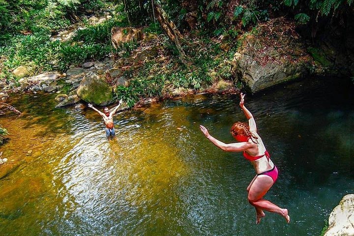 Vandring gjennom frodig jungel til de eldgamle ruinene av Den tapte byen i Santa Marta, Colombia, foto 6 | wizardtrip