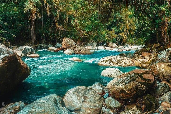 Vandring gjennom frodig jungel til de eldgamle ruinene av Den tapte byen i Santa Marta, Colombia, foto 7 | wizardtrip