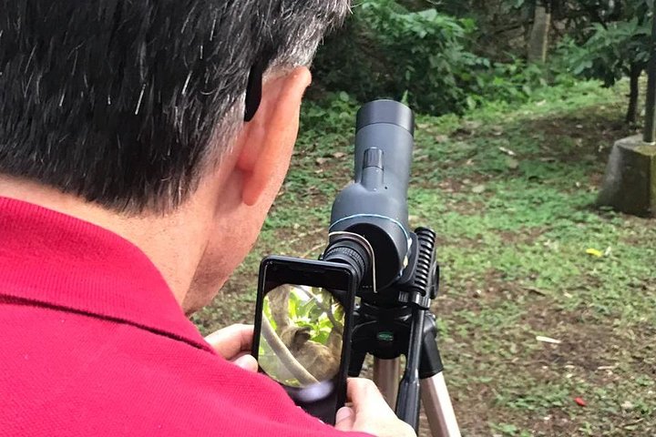 Naturvandring i San José med dovendyr og fugler i Costa Rica, foto 10 | wizardtrip