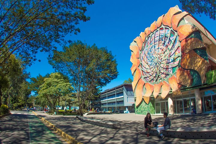 Naturvandring i San José med dovendyr og fugler i Costa Rica, foto 14 | wizardtrip