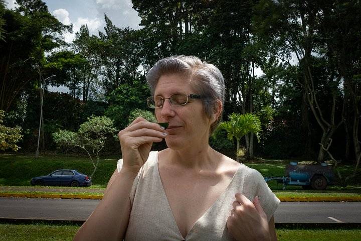 Naturvandring i San José med dovendyr og fugler i Costa Rica, foto 16 | wizardtrip