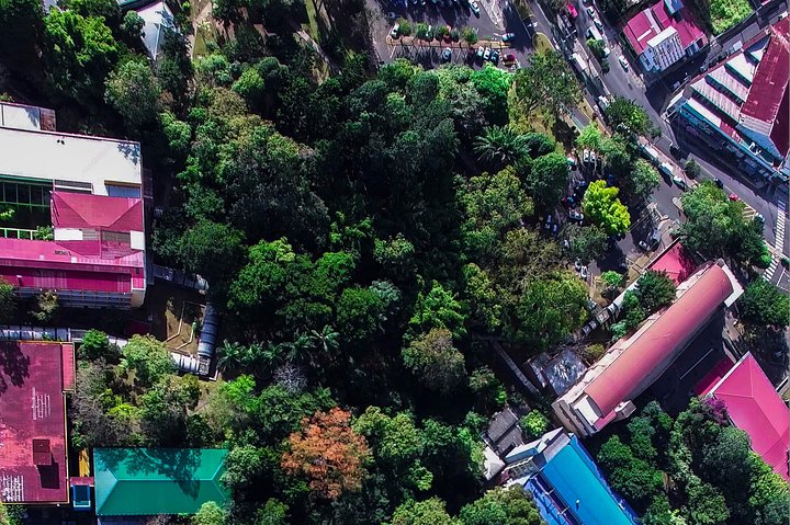 Naturvandring i San José med dovendyr og fugler i Costa Rica, foto 17 | wizardtrip