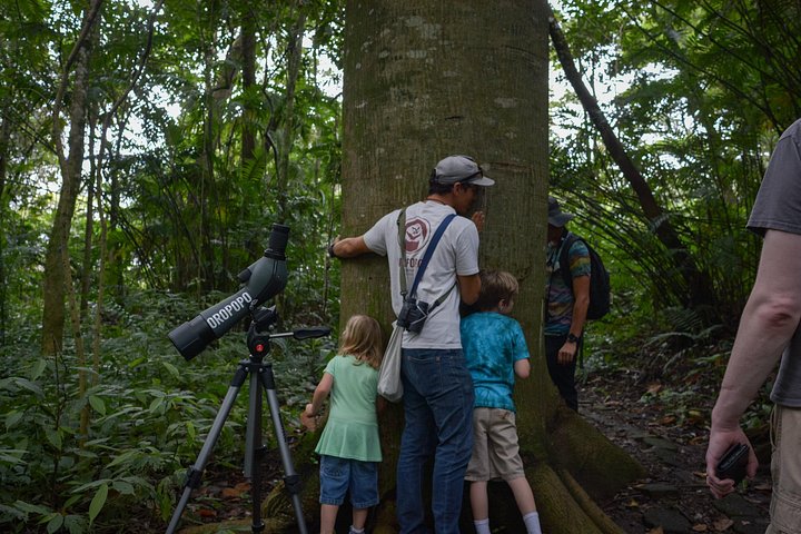Naturvandring i San José med dovendyr og fugler i Costa Rica, foto 18 | wizardtrip
