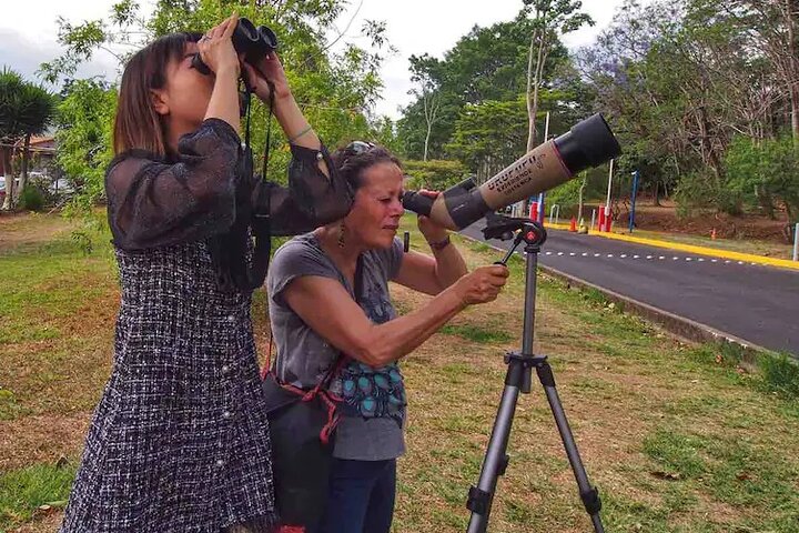 Naturvandring i San José med dovendyr og fugler i Costa Rica, foto 20 | wizardtrip