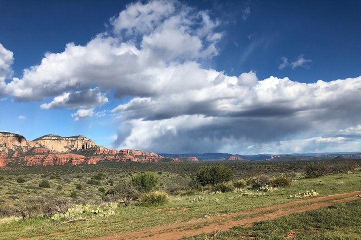 Vivi un'emozionante tour in Jeep 4x4 attraverso i selvaggi canyon occidentali e i paesaggi delle Red Rock di Sedona, foto 6 | wizardtrip