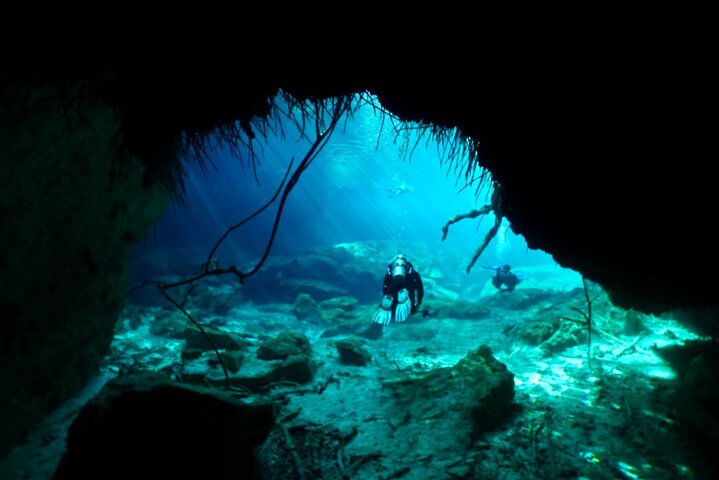 Explora tres impresionantes cenotes en Tulum con snorkel, saltos desde acantilados y aventura guiada, foto 6 | wizardtrip