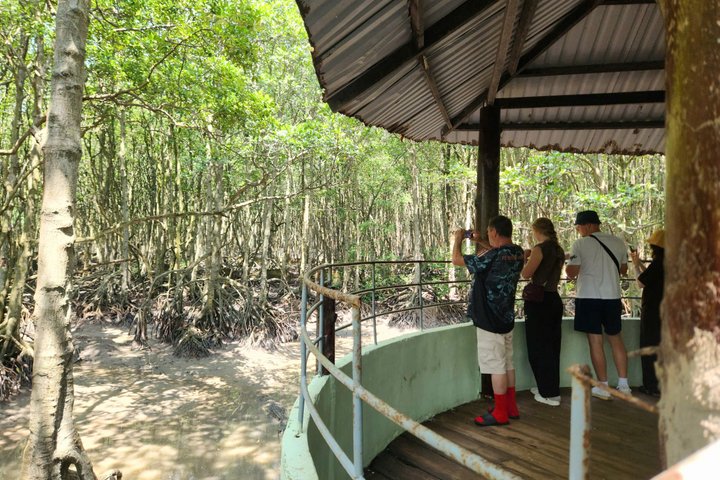 Udforsk den frodige Can Gio mangrove-skov, mød aber og besøg historiske steder på en dagstur fra Ho Chi Minh City, foto 7 | wizardtrip