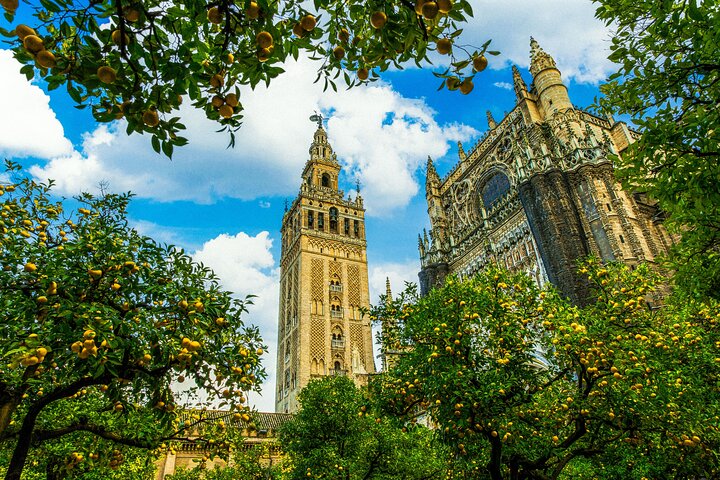 Guided tour of Seville's Alcázar, Cathedral, and Giralda Tower, showcasing historical architecture and city views, photo 7 | wizardtrip