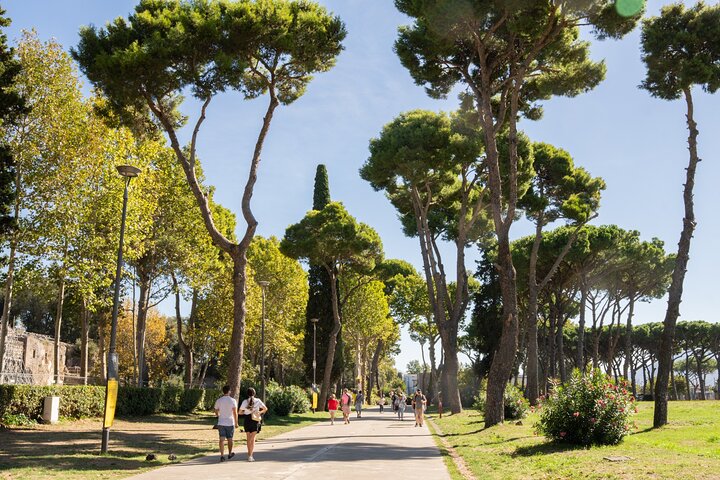 Kleingruppen-Minivan-Tour von Rom nach Pompeji und Sorrent mit geführter Erkundung und Mittagessen, Foto 9 | wizardtrip