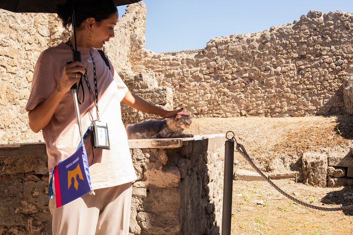 Kleingruppen-Minivan-Tour von Rom nach Pompeji und Sorrent mit geführter Erkundung und Mittagessen, Foto 22 | wizardtrip