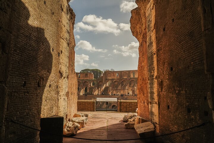 Guided tour of Rome's ancient landmarks: Colosseum, Roman Forum, and Palatine Hill, photo 13 | wizardtrip