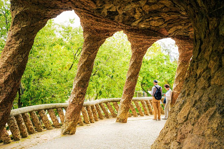 Visita guiada a la colorida arquitectura y jardines del Park Güell en Barcelona, foto 17 | wizardtrip