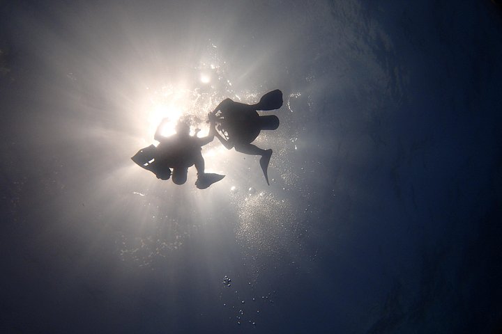 Plongée sous-marine pour débutants dans la mer des Caraïbes à Cancun, exploration de sculptures sous-marines et de récifs coralliens, photo 9 | wizardtrip