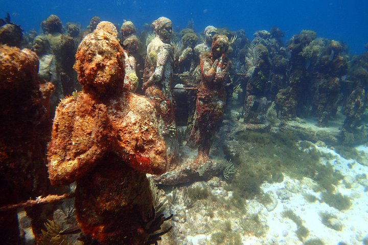 Plongée sous-marine pour débutants dans la mer des Caraïbes à Cancun, exploration de sculptures sous-marines et de récifs coralliens, photo 11 | wizardtrip
