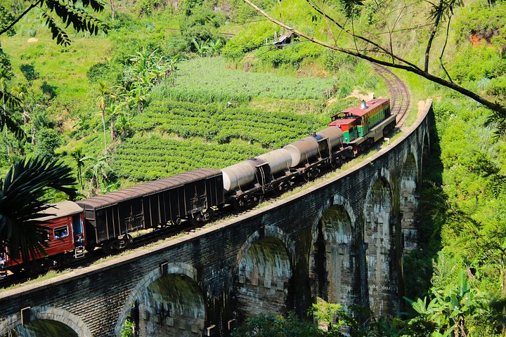 Découvrez la beauté diversifiée du Sri Lanka, des temples anciens et des plantations de thé luxuriantes aux safaris animaliers et aux plages magnifiques, photo 16 | wizardtrip