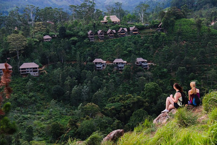 Découvrez la beauté diversifiée du Sri Lanka, des temples anciens et des plantations de thé luxuriantes aux safaris animaliers et aux plages magnifiques, photo 17 | wizardtrip