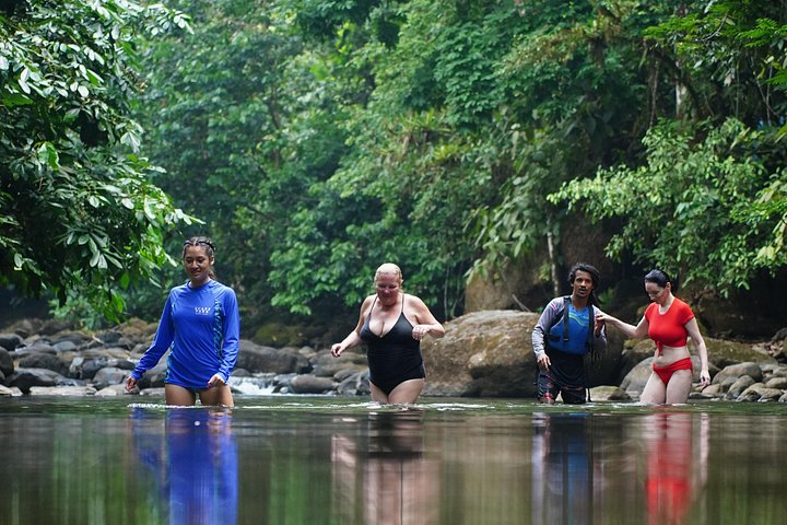 Heldagstur til vandfaldseventyr i Quepos, Costa Rica, med jungle, vandfald og strande, foto 23 | wizardtrip
