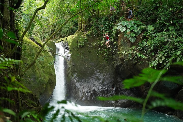 Heldagstur til vandfaldseventyr i Quepos, Costa Rica, med jungle, vandfald og strande, foto 25 | wizardtrip