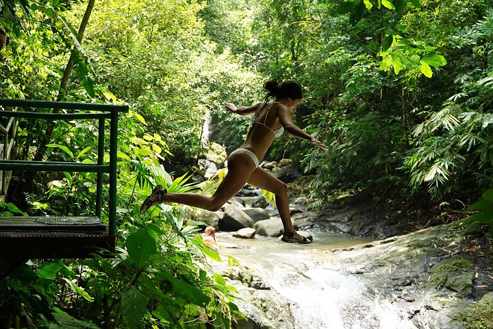 Heldagstur til vandfaldseventyr i Quepos, Costa Rica, med jungle, vandfald og strande, foto 35 | wizardtrip