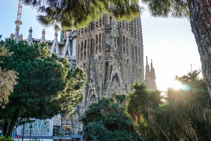 Heldagstur i Barcelona med ikoniske vartegn, herunder Sagrada Familia, Park Guell og Montjuic, foto 6 | wizardtrip