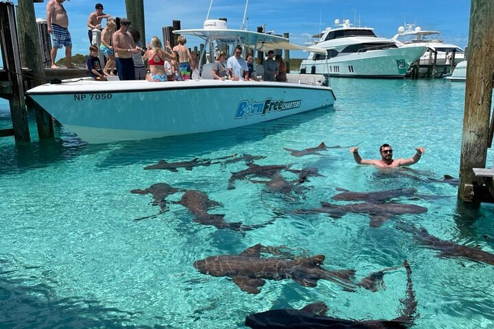 Exuma Island Hopping Zwemmende Varkens Tour met Lunch vanuit Nassau | wizardtrip