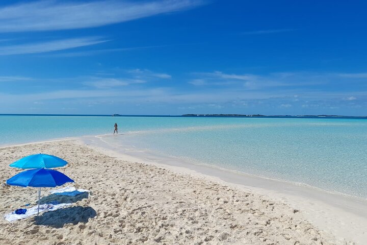 Passeio de barco de dia inteiro para as Exuma Cays, Bahamas, com porcos nadadores, tubarões-lixa e snorkeling, foto 7 | wizardtrip