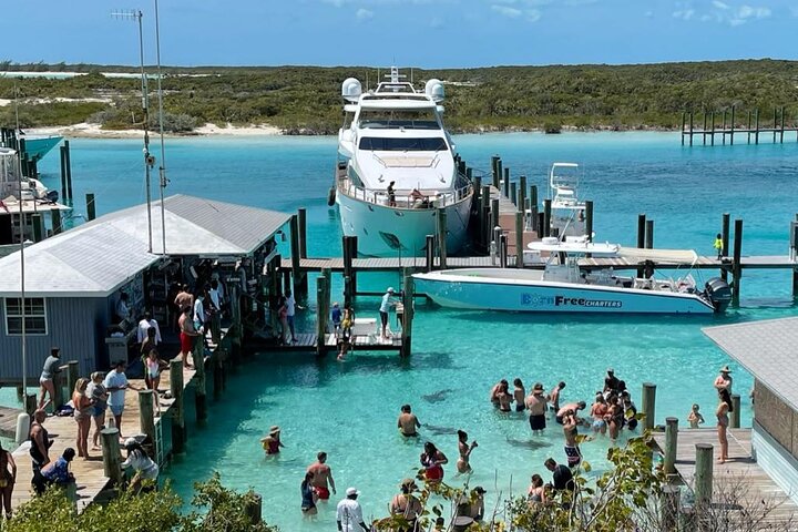 Passeio de barco de dia inteiro para as Exuma Cays, Bahamas, com porcos nadadores, tubarões-lixa e snorkeling, foto 9 | wizardtrip