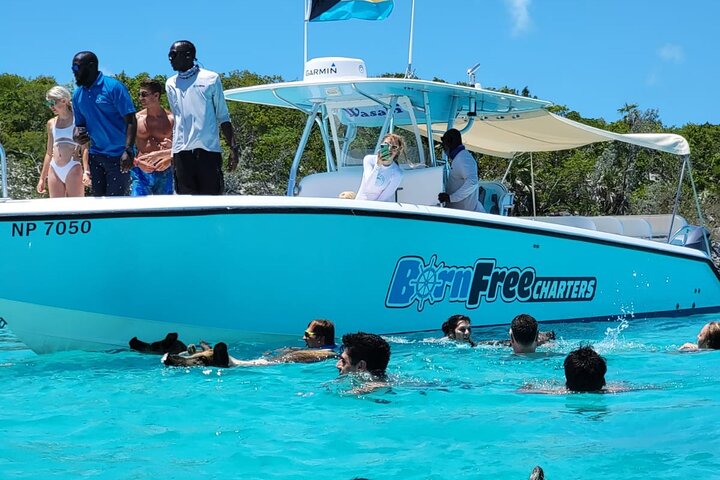 Passeio de barco de dia inteiro para as Exuma Cays, Bahamas, com porcos nadadores, tubarões-lixa e snorkeling, foto 10 | wizardtrip