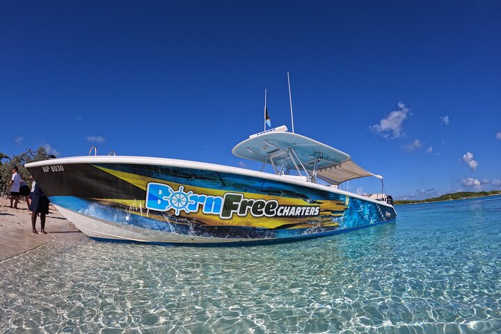Passeio de barco de dia inteiro para as Exuma Cays, Bahamas, com porcos nadadores, tubarões-lixa e snorkeling, foto 12 | wizardtrip