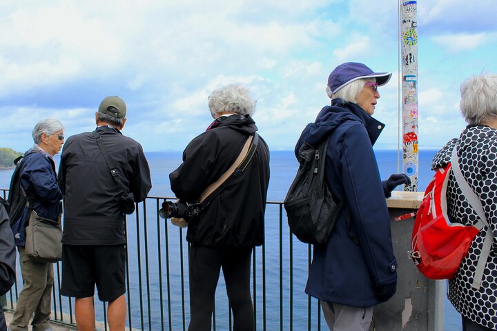 Tour panoramico di piccolo gruppo di Sorrento, Positano e Costiera Amalfitana da Napoli con giro in barca, foto 35 | wizardtrip