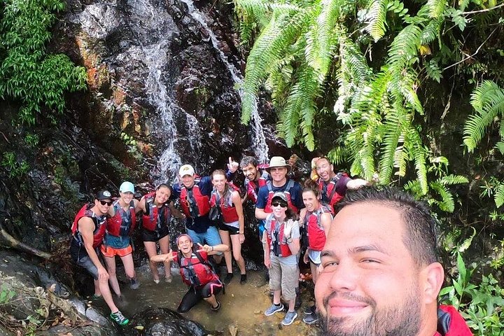 Explore as cascatas da floresta tropical El Yunque e reme pela baía bioluminescente de Fajardo num tour de um dia em Porto Rico, foto 6 | wizardtrip