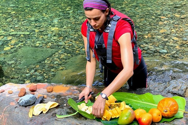 Explore as cascatas da floresta tropical El Yunque e reme pela baía bioluminescente de Fajardo num tour de um dia em Porto Rico, foto 8 | wizardtrip